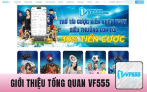 Sản Phẩm và Dịch Vụ Của VF5555